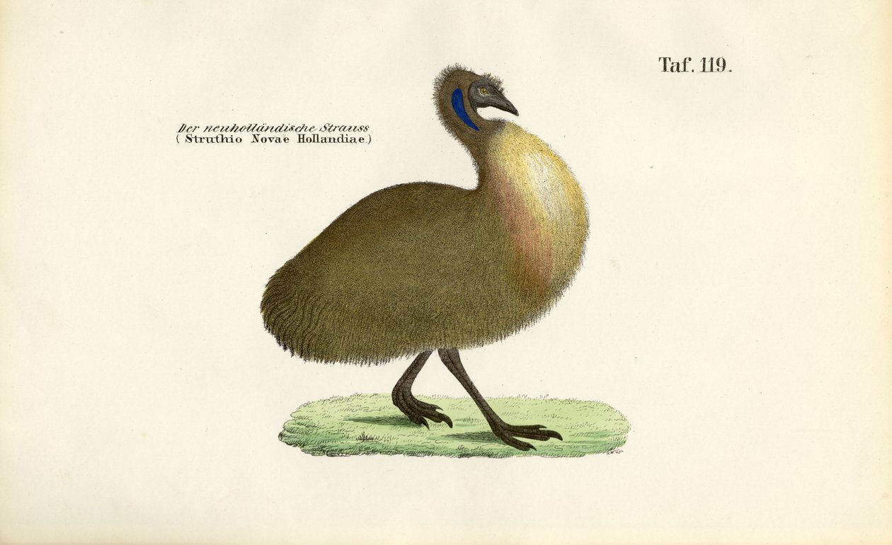  da J. W. Tenhaeff