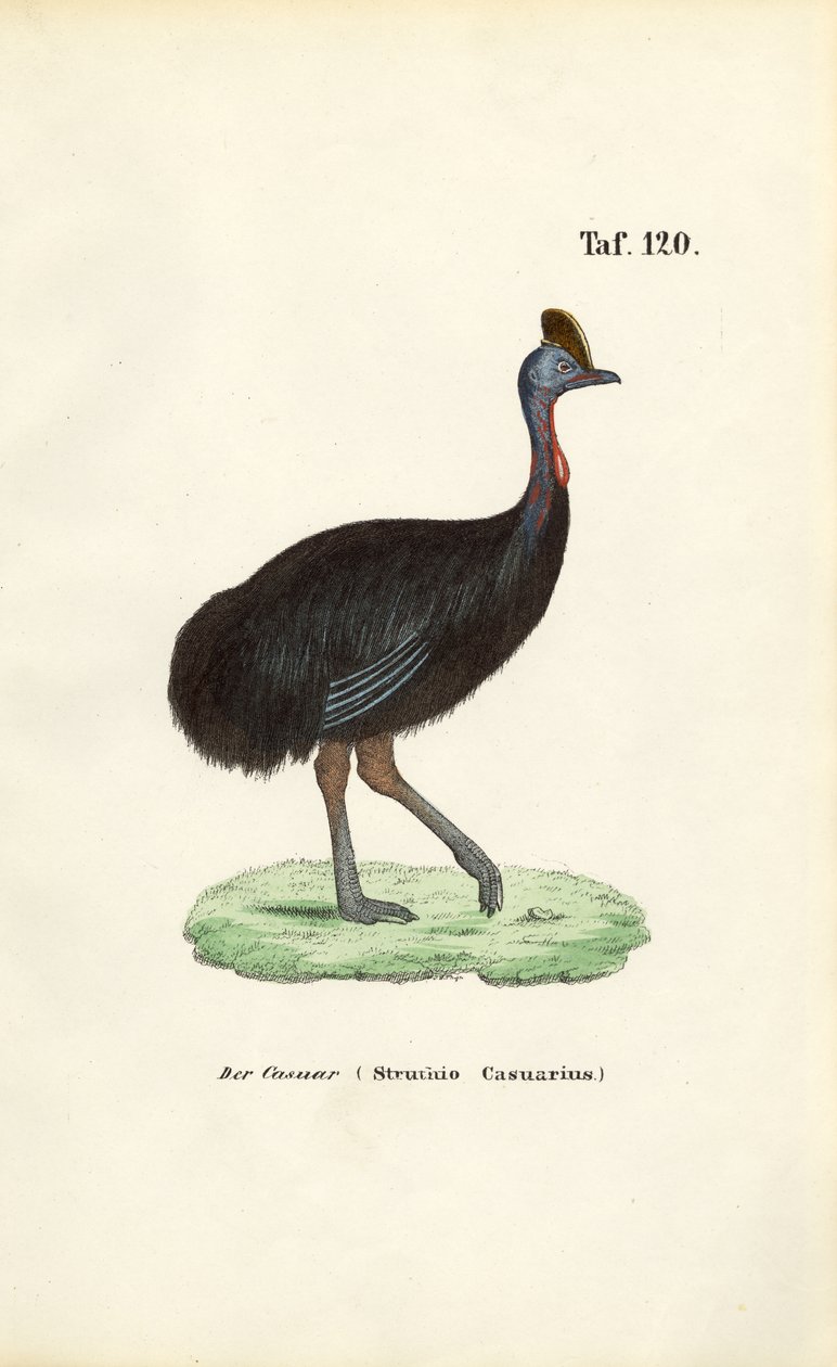  da J. W. Tenhaeff