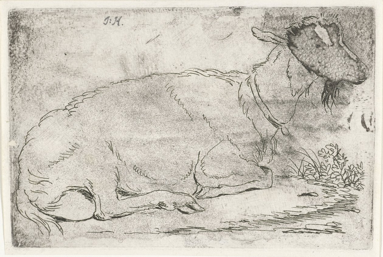 Capra sdraiata da Jabes Heenck (signed by artist)
