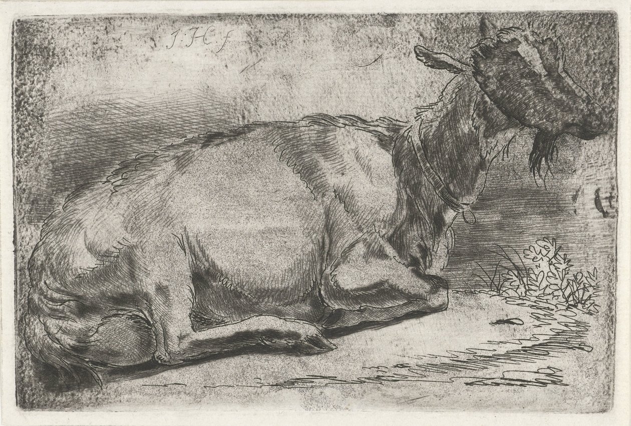 Capra sdraiata da Jabes Heenck