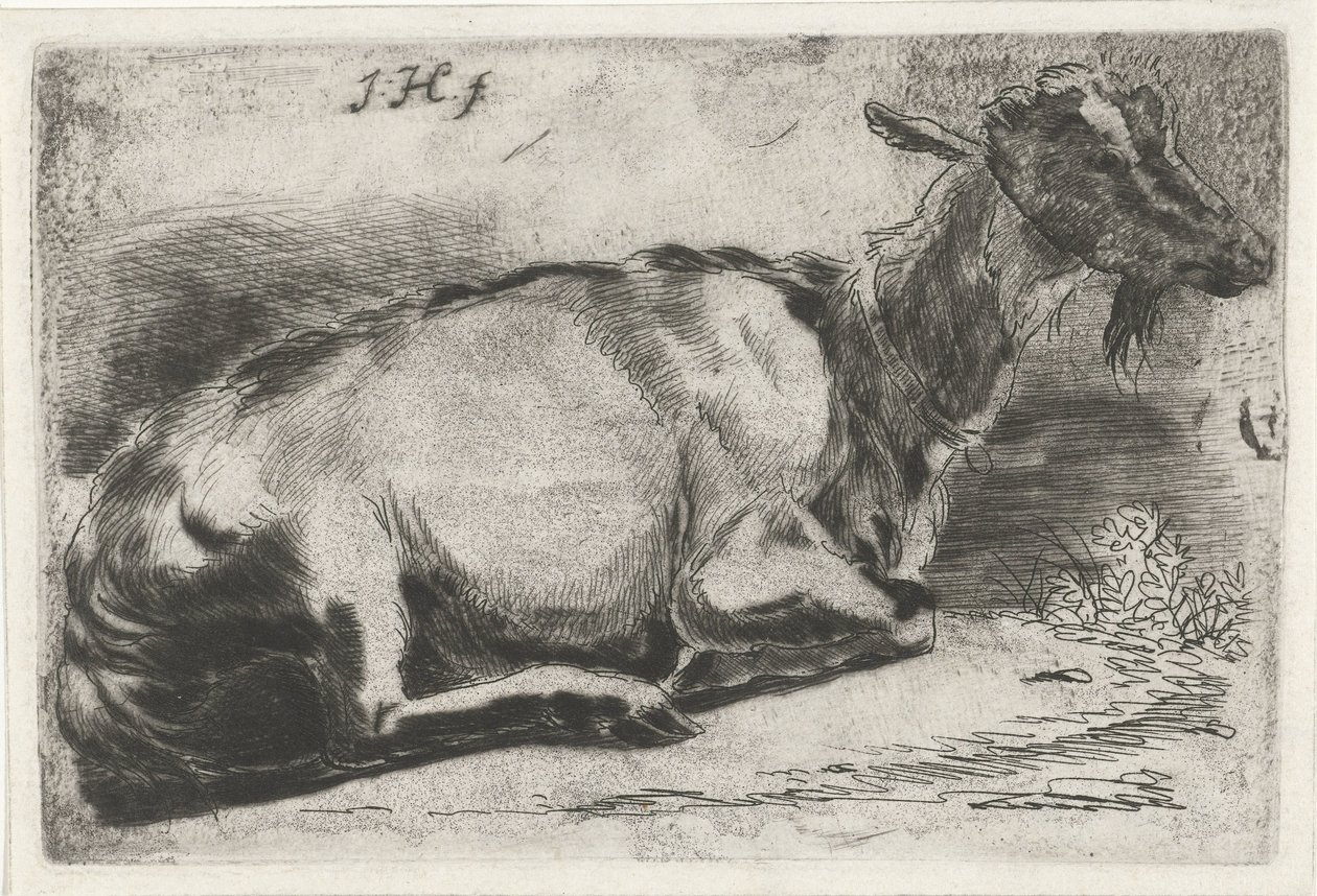 Capra sdraiata da Jabes Heenck
