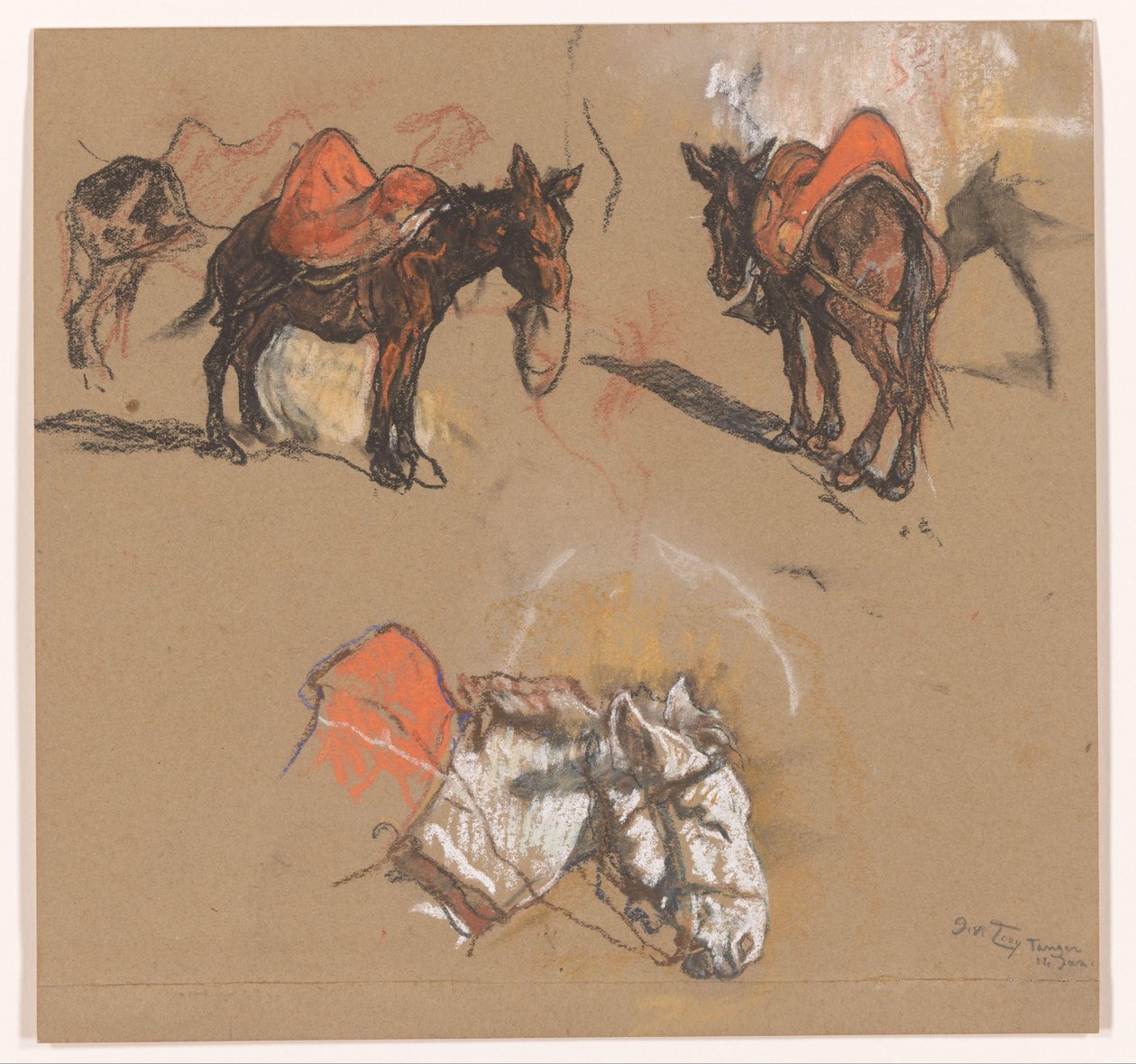 Studi di asini e un mulo nel Grote Markt a Tangeri da Jac van Looij (signed by artist)