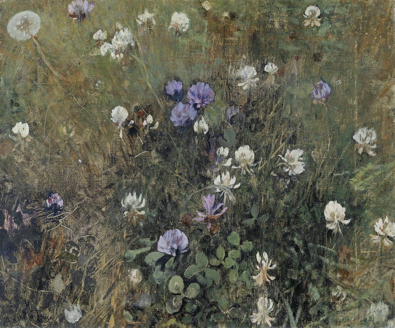 Trifoglio in fiore da Jac van Looij