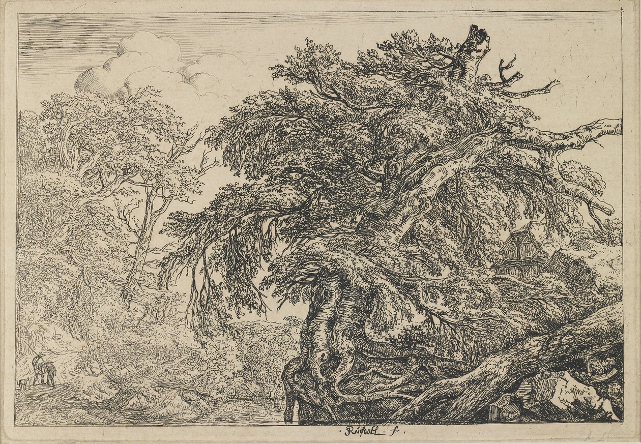 Il grande faggio con due uomini e un cane, c. 1650-1655 da Jacob van Ruisdael
