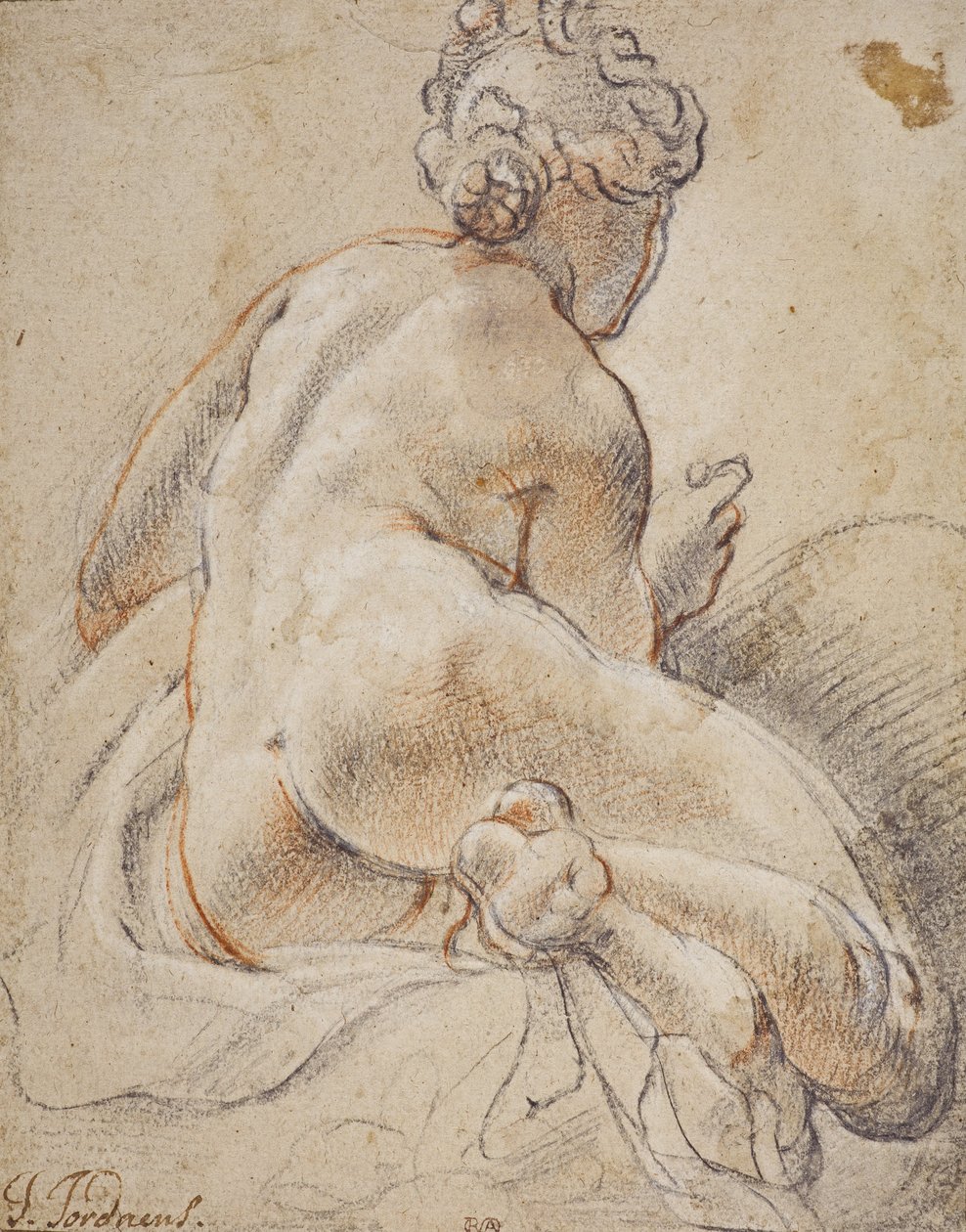 Nudo Femminile, Visto da Dietro da Jacob Jordaens