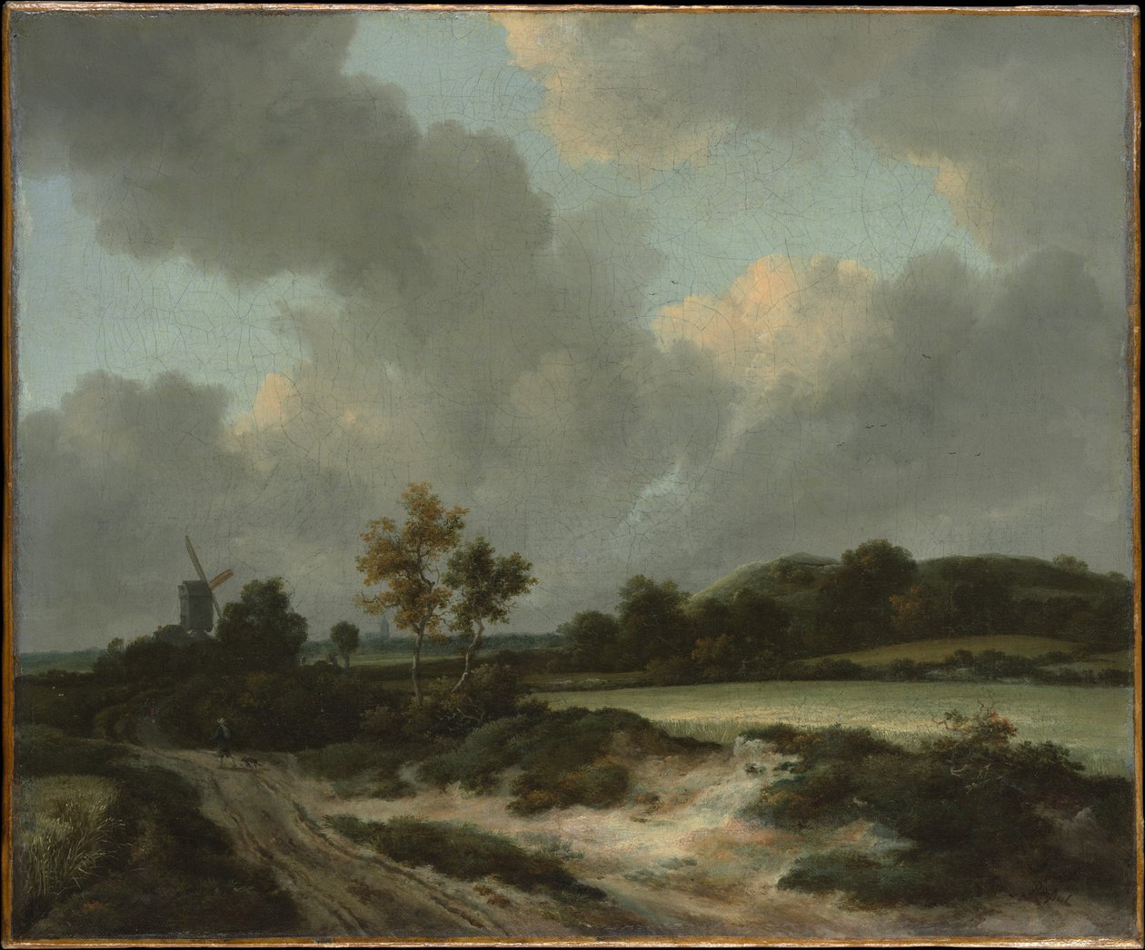 Campi di grano da Jacob van Ruisdael