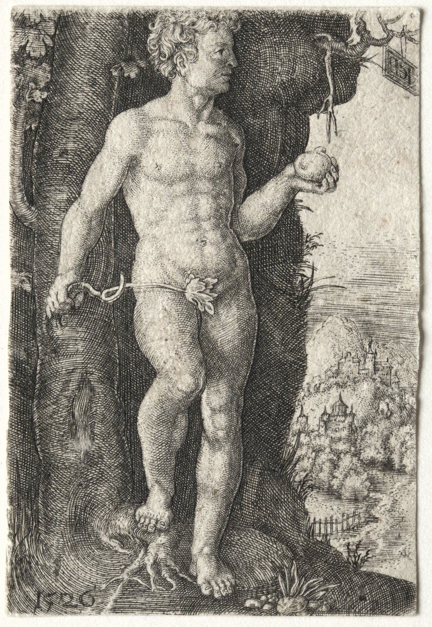 Adamo da Jacob Binck