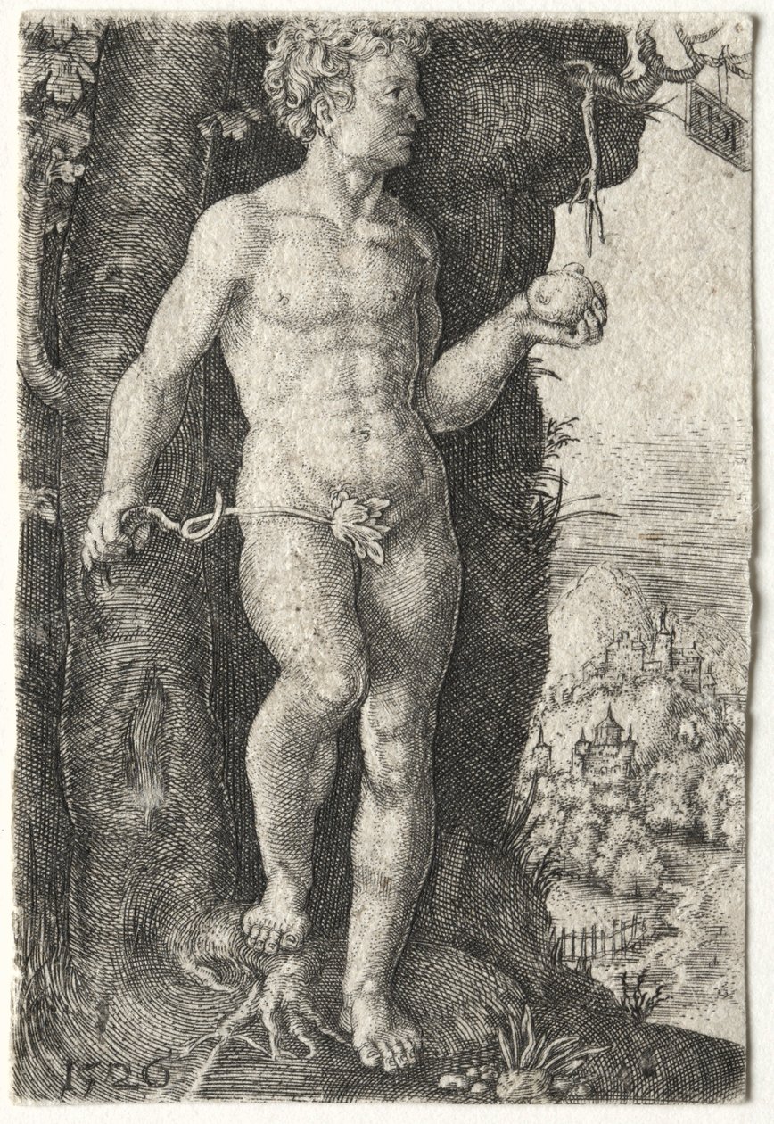 Adamo, 1526 da Jacob Binck