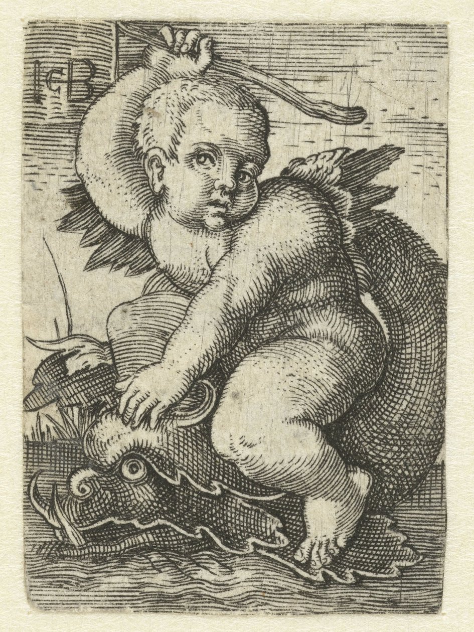 Putto su un delfino da Jacob Binck