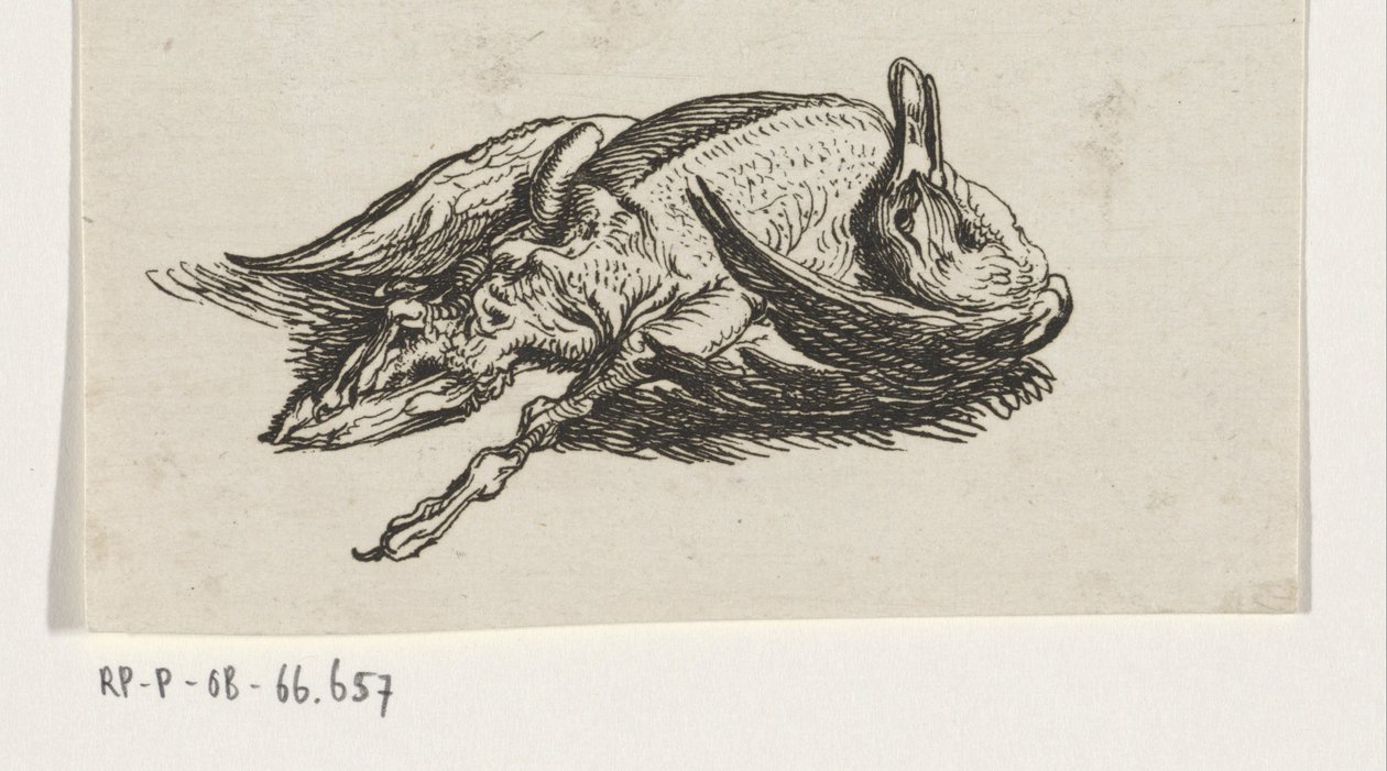 Anatra morta da Jacob Elias van Varelen