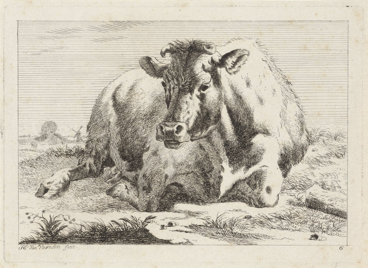 Mucca sdraiata da Jacob Elias van Varelen
