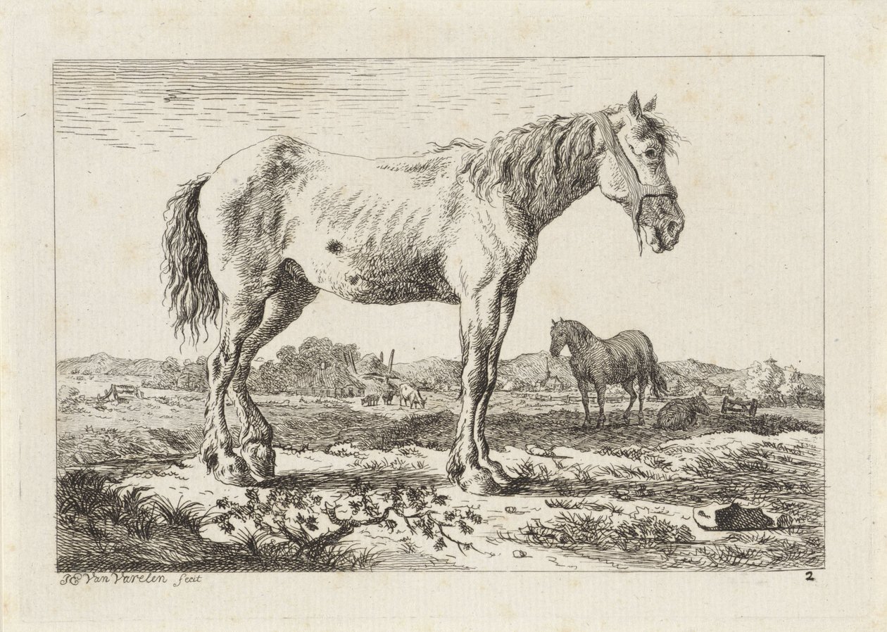 Cavallo in piedi in un paesaggio da Jacob Elias van Varelen