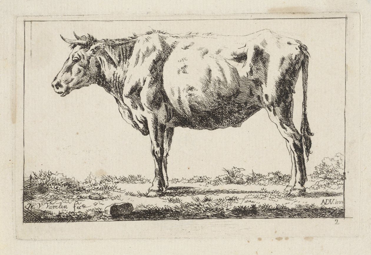 Bue in piedi, verso sinistra da Jacob Elias van Varelen