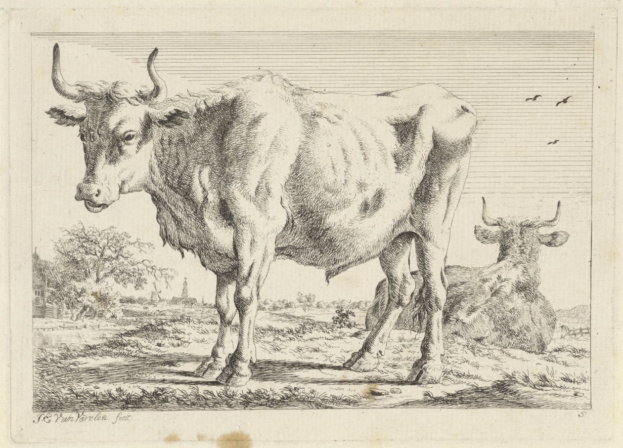 Bue in piedi e sdraiato da Jacob Elias van Varelen