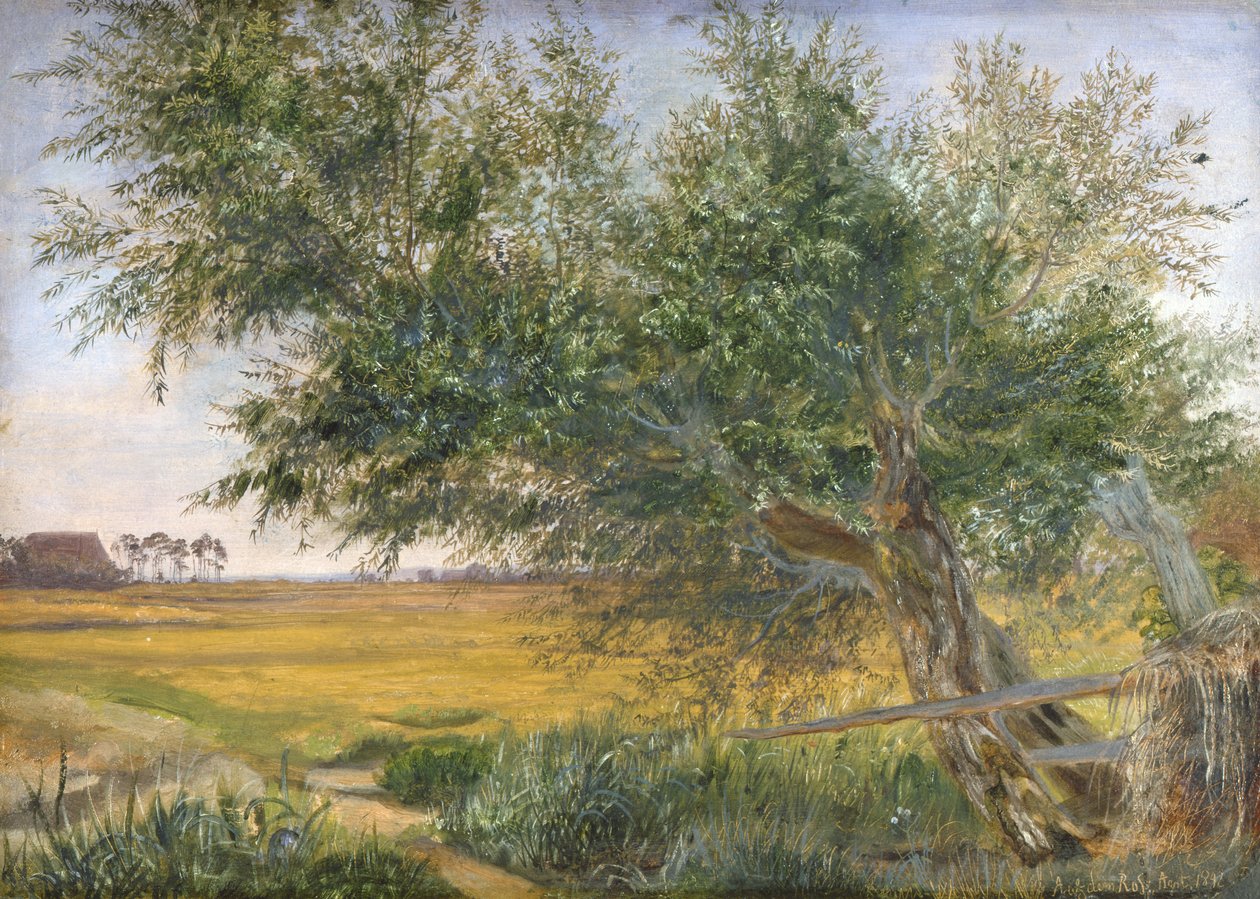 Il vecchio albero, 1842 da Jacob Gensler