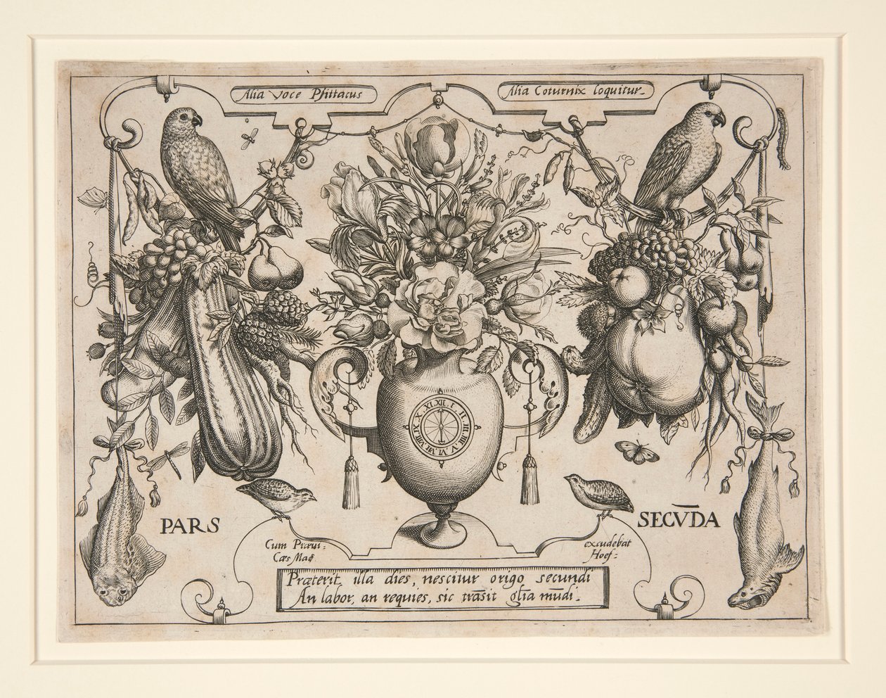 Frutta e fiori da Jacob Hoefnagel