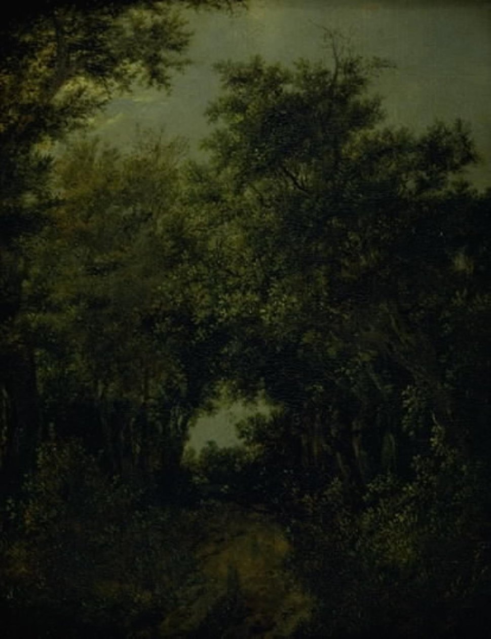 Strada in una foresta di querce da Jacob van Ruisdael