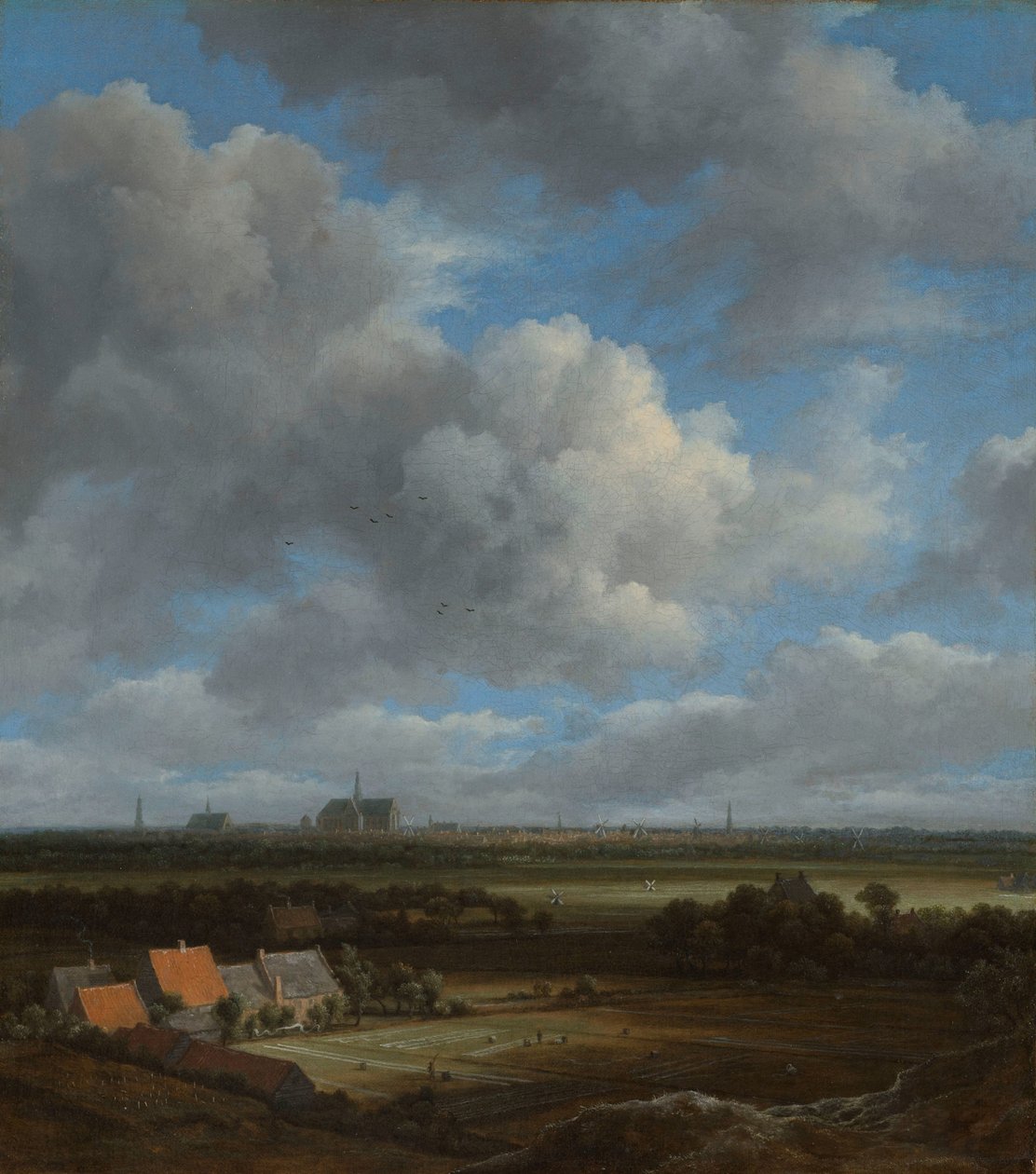 Veduta di Haarlem da nord-ovest, con i campi di candeggio in primo piano da Jacob van Ruisdael