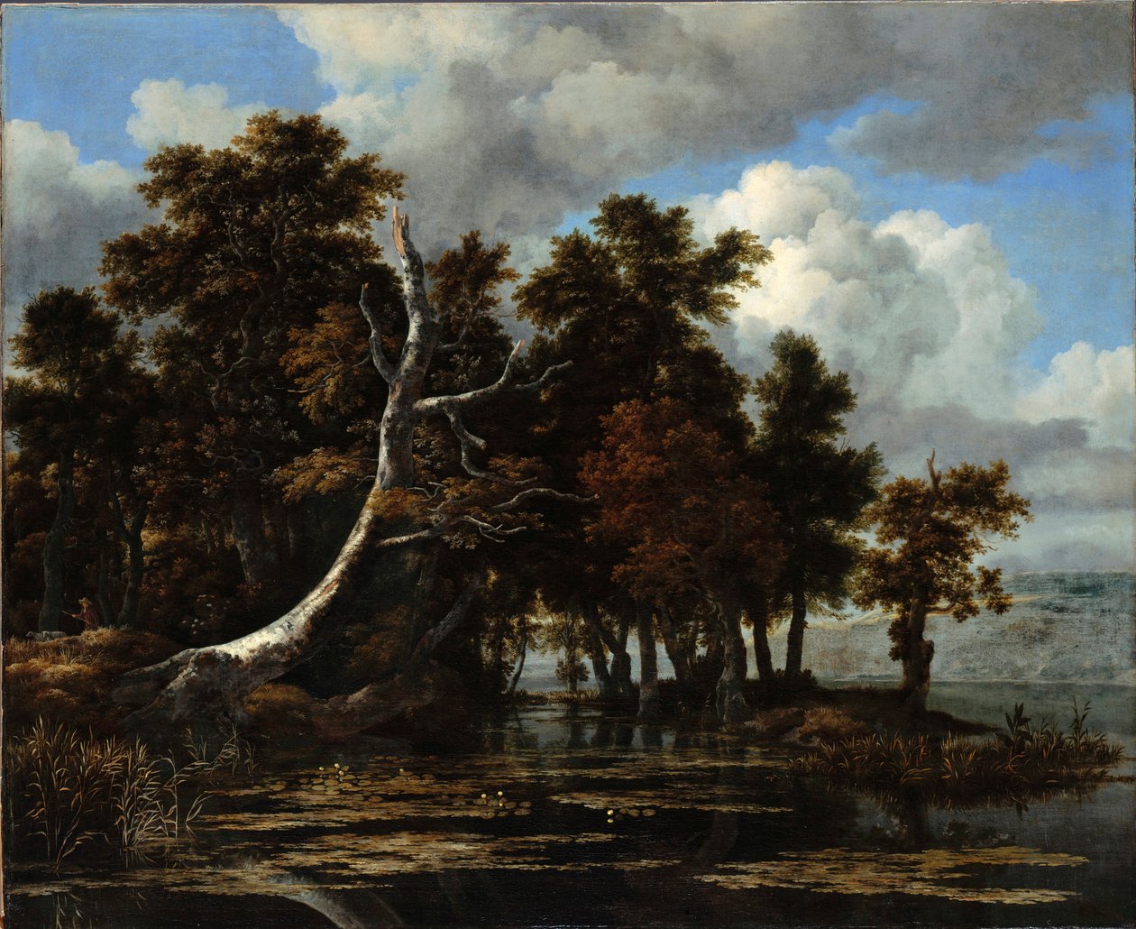 Querce sulle rive di un lago con ninfee da Jacob van Ruisdael