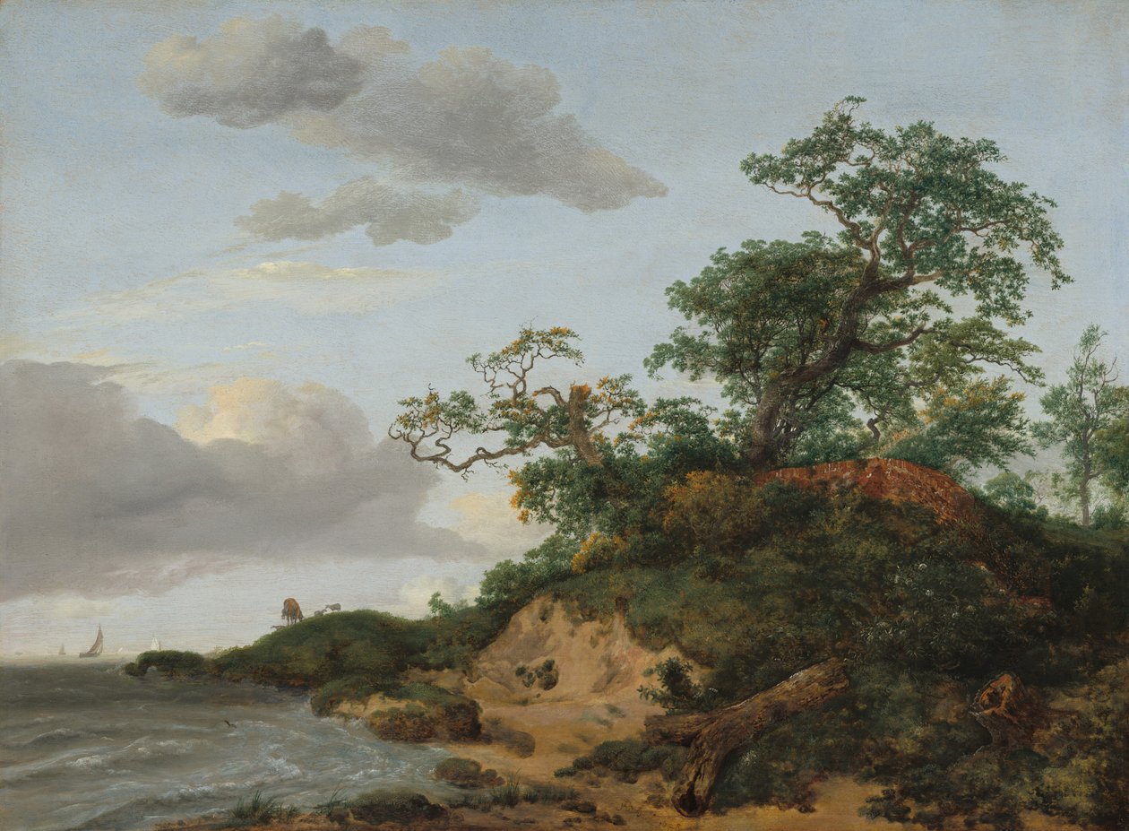  da Jacob Isaaksz. or Isaacksz. van Ruisdael