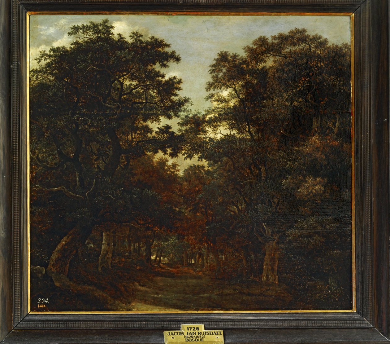 Foresta ... da Jacob Isaaksz. or Isaacksz. van Ruisdael
