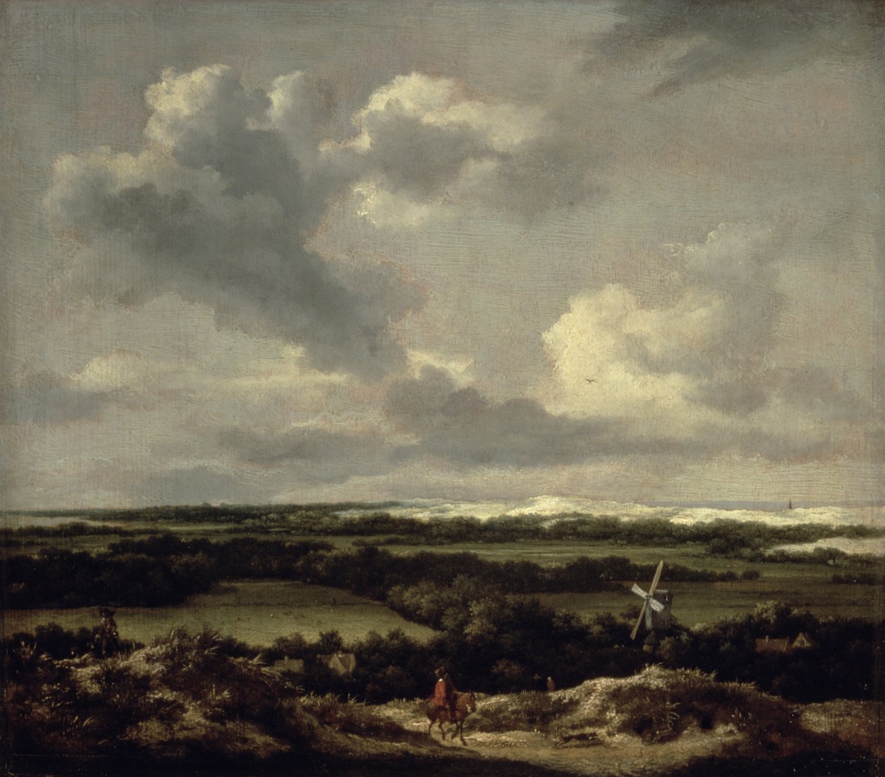 Paesaggio con dune vicino a Haarlem da Jacob van Ruisdael