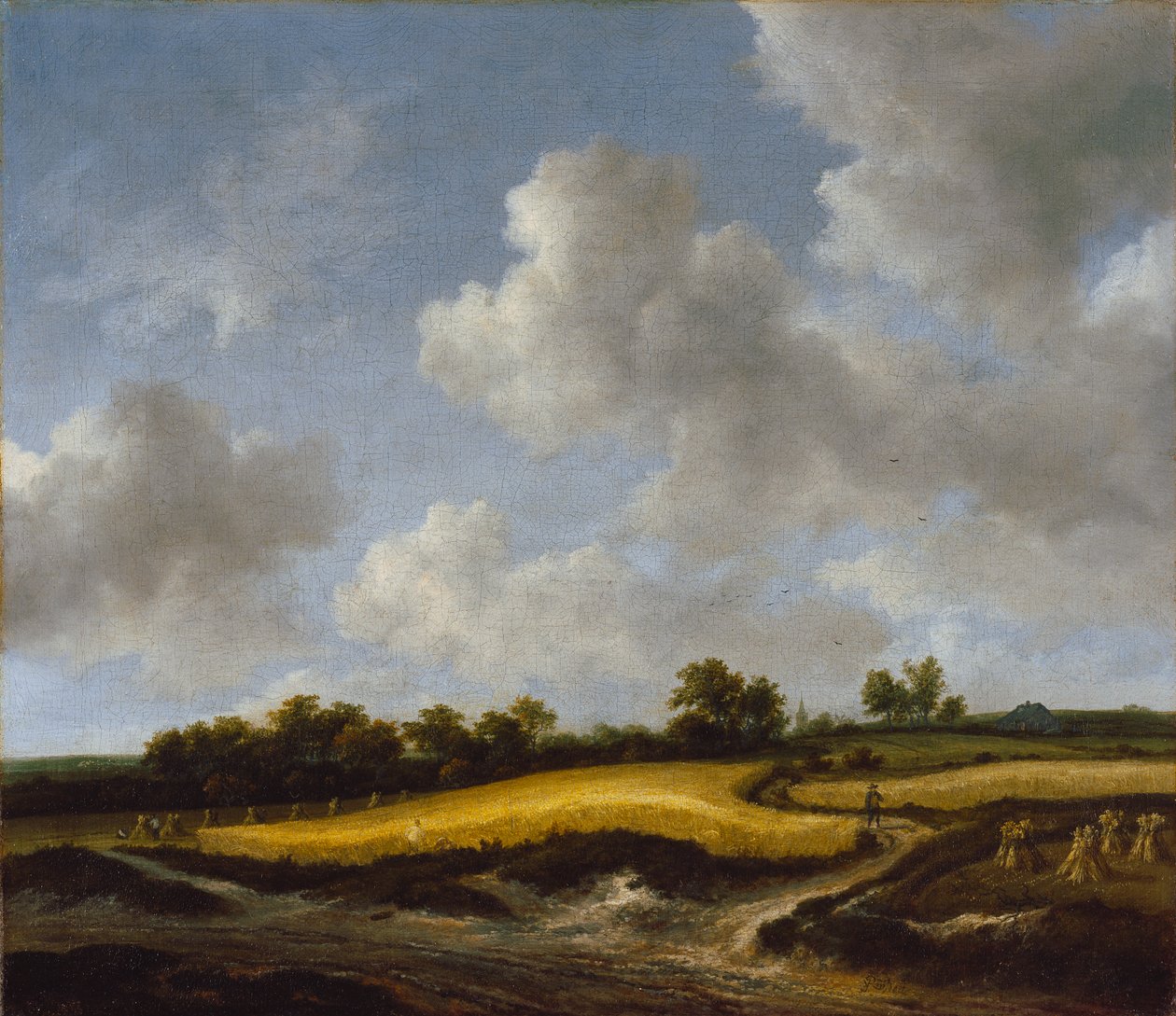 Paesaggio con campo di grano da Jacob van Ruisdael