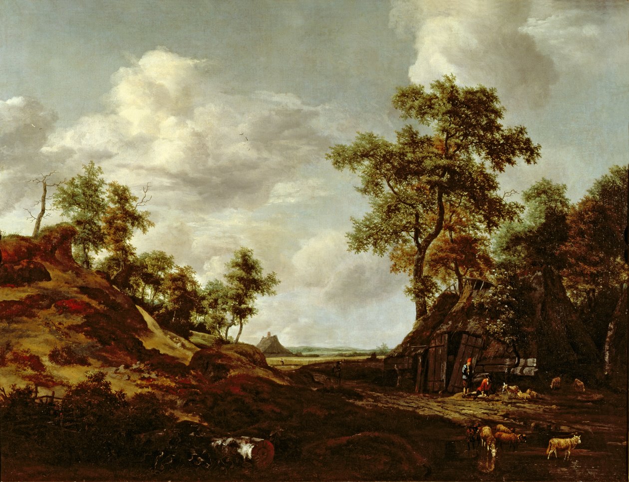 Immagine sconosciuta da Jacob van Ruisdael