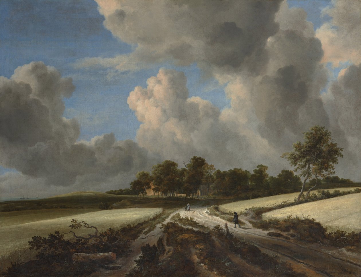 Campi di grano da Jacob van Ruisdael