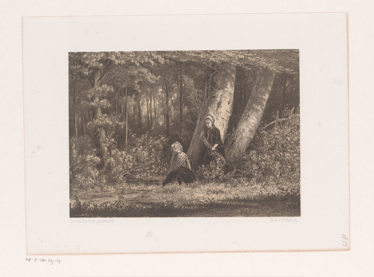 Due ragazze nel bosco da Jacob Jan van der Maaten