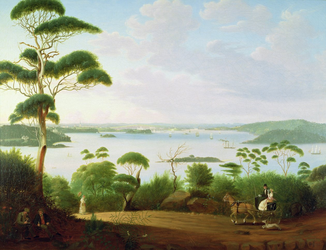 Porto di Sydney verso Sydney, 1848 da Jacob Janssen