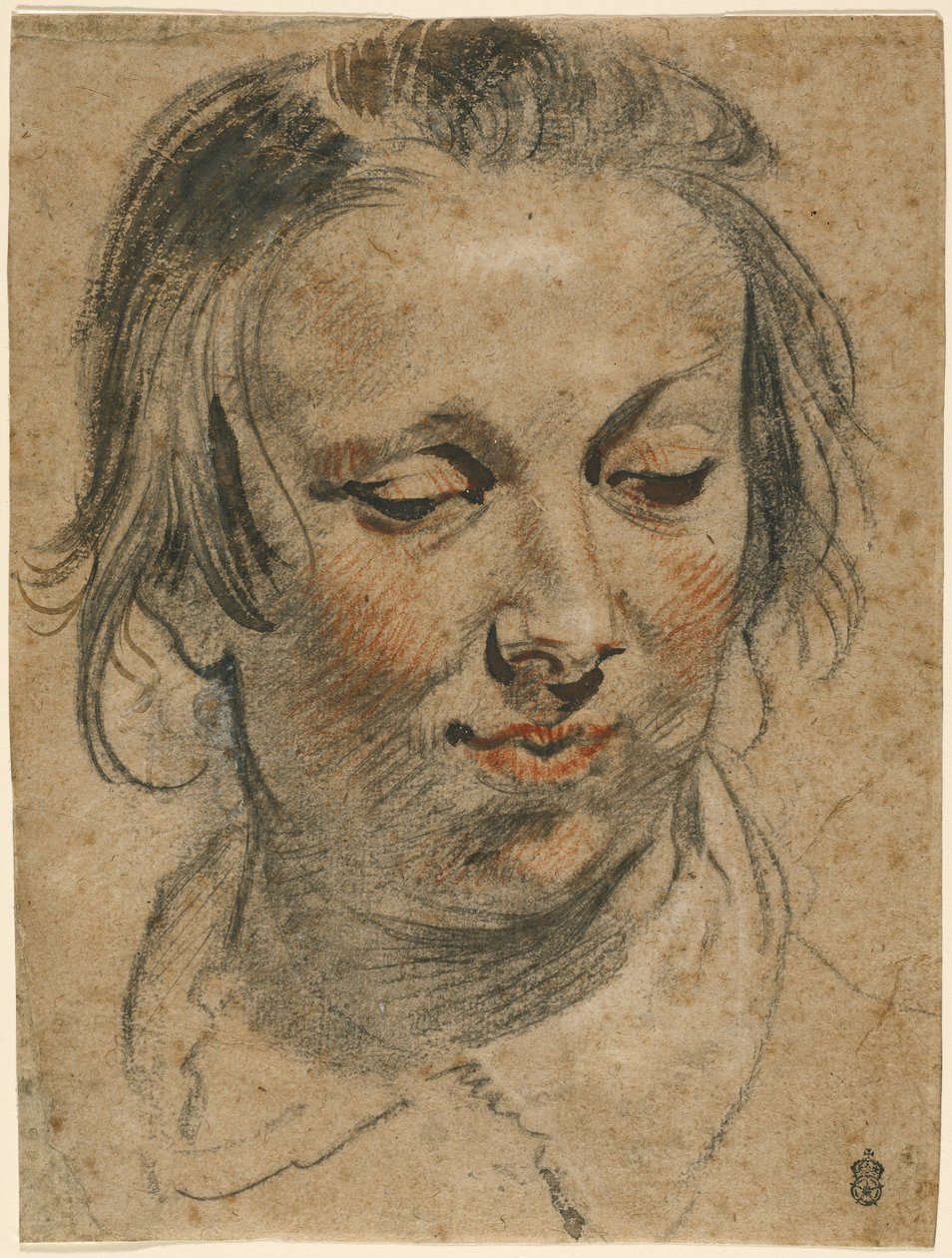Testa di donna da Jacob Jordaens