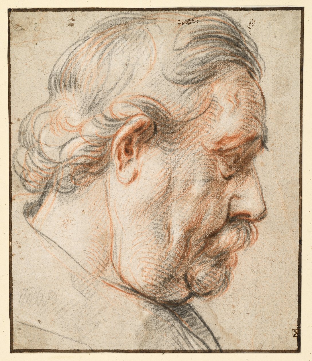 Testa di uomo di profilo verso destra da Jacob Jordaens