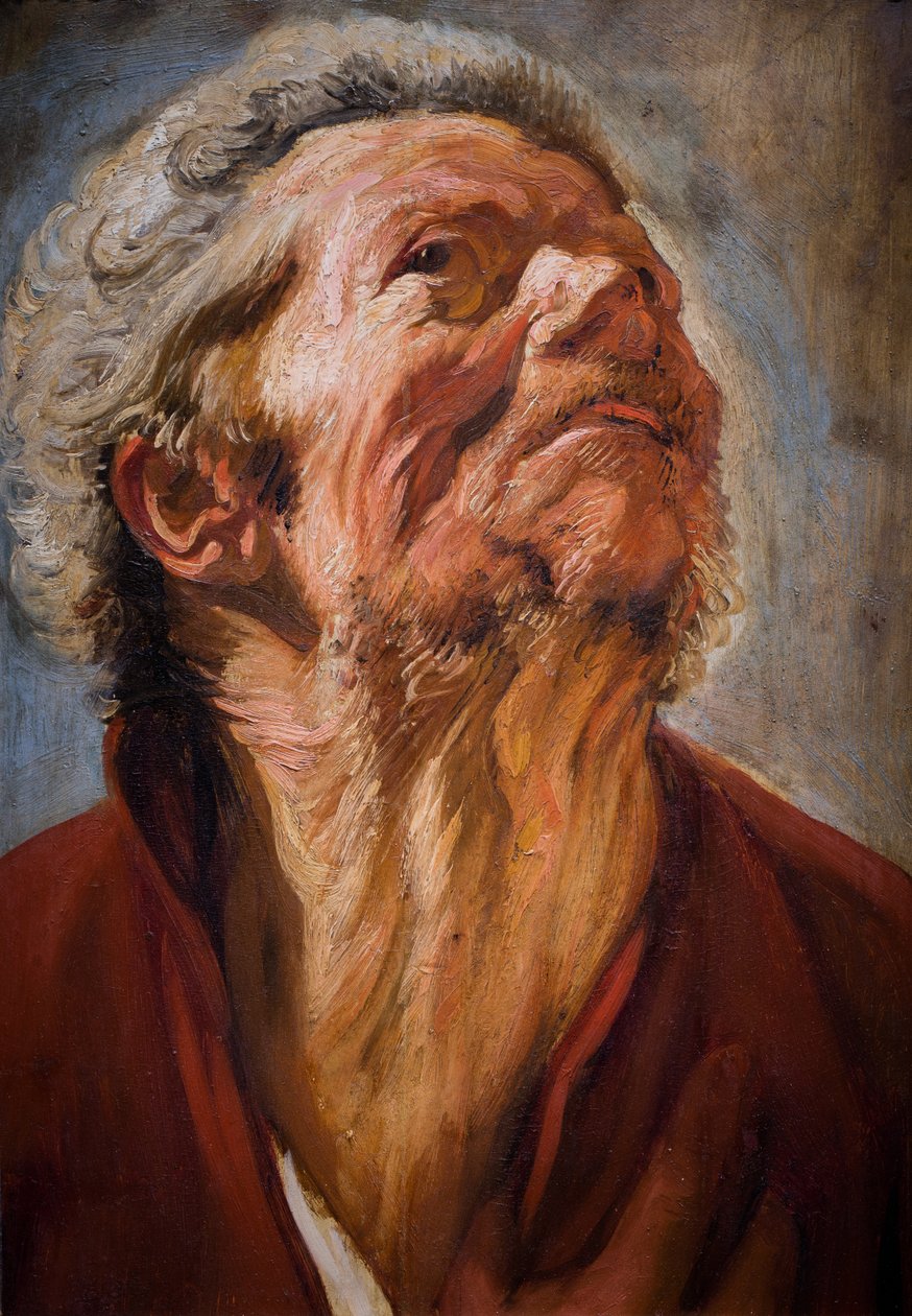 Testa di studio da Jacob Jordaens