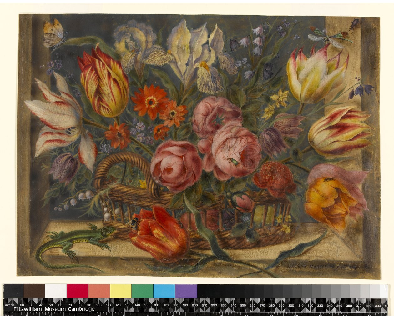 Studio di fiori: fiori assortiti in un cesto, con insetti e una lucertola in una finestra, 1634 da Jacob Marrel