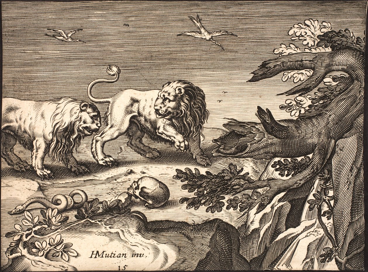 Due leoni in natura da Jacob Matham