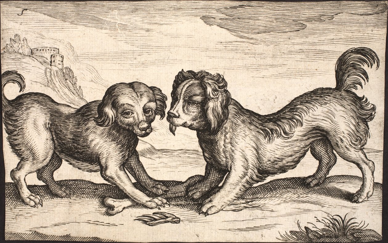 Due piccoli cani da Jacob Matham