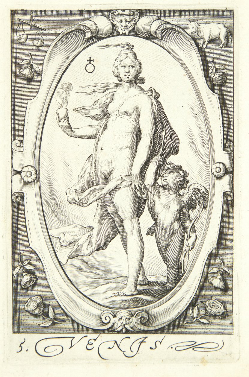 Venere da Jacob Matham