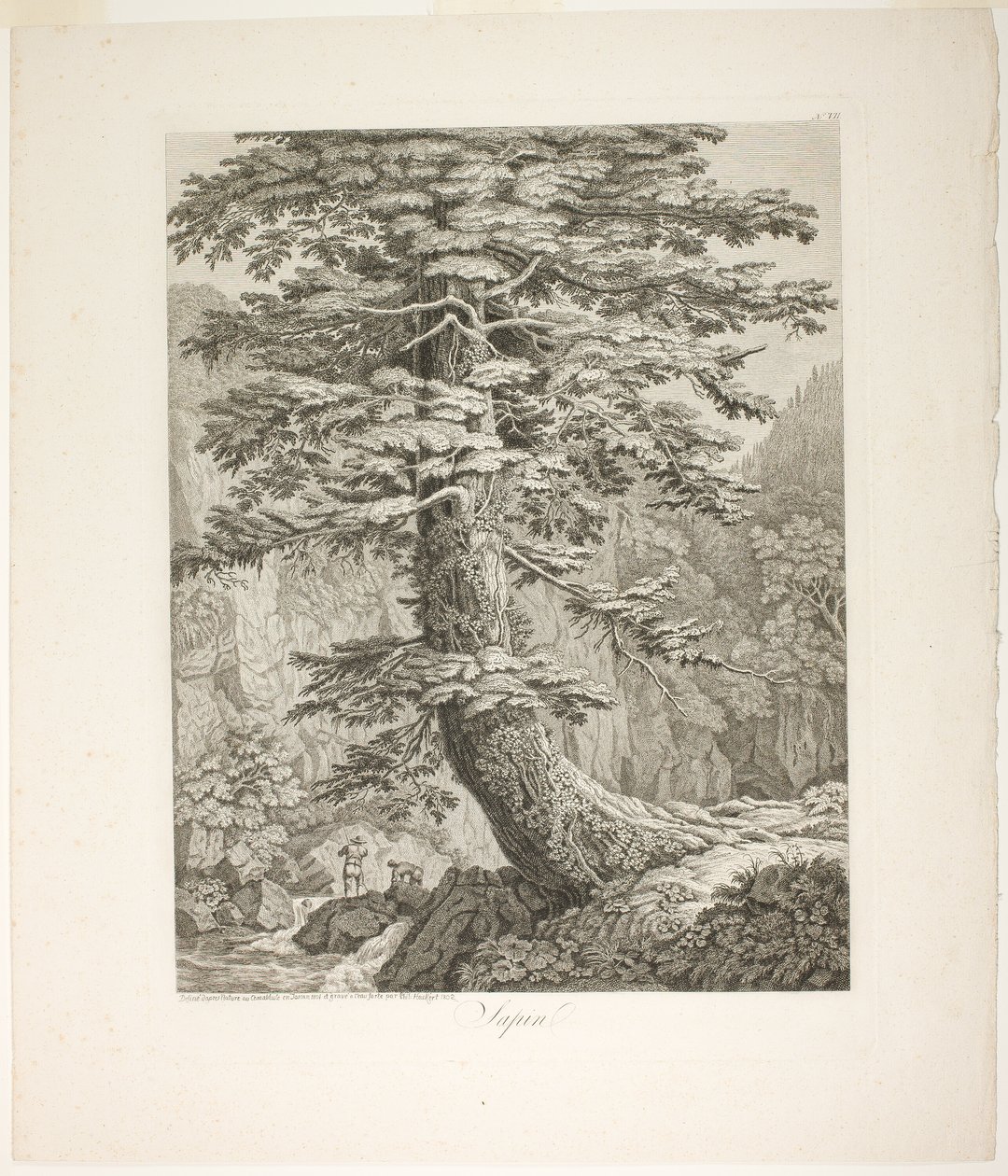 Abete da Jacob Philipp Hackert