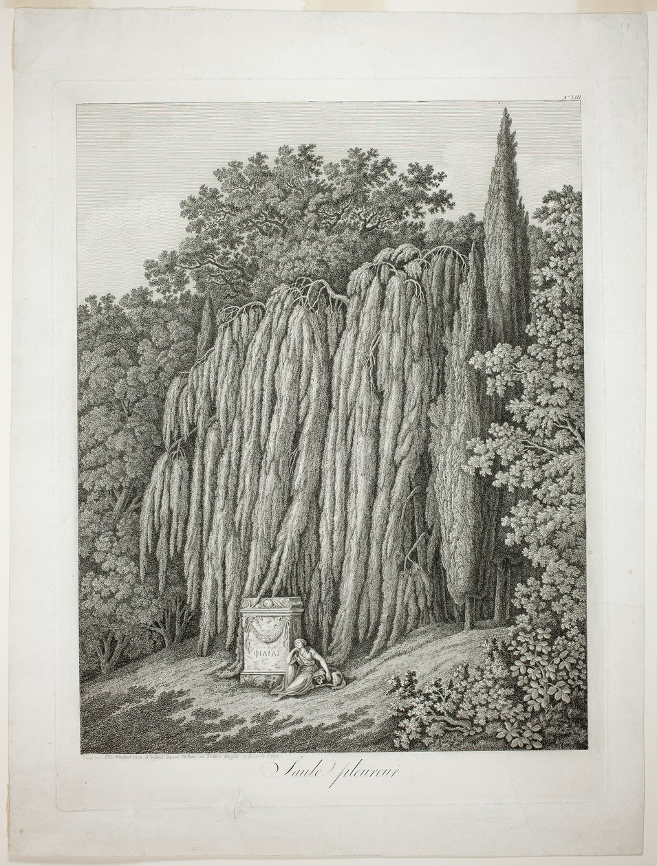Salice piangente da Jacob Philipp Hackert
