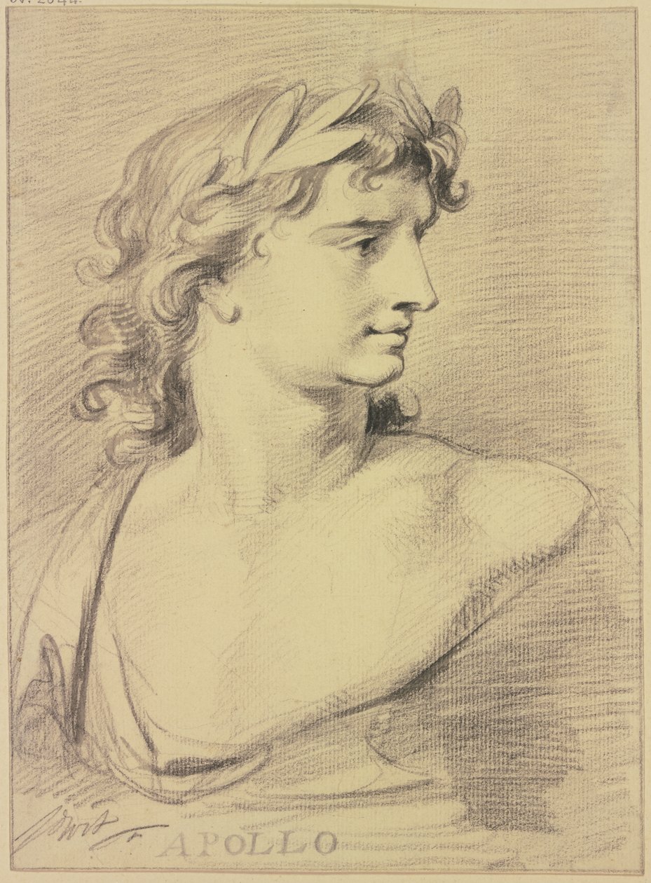 Busto di Apollo da Jacob de Wit