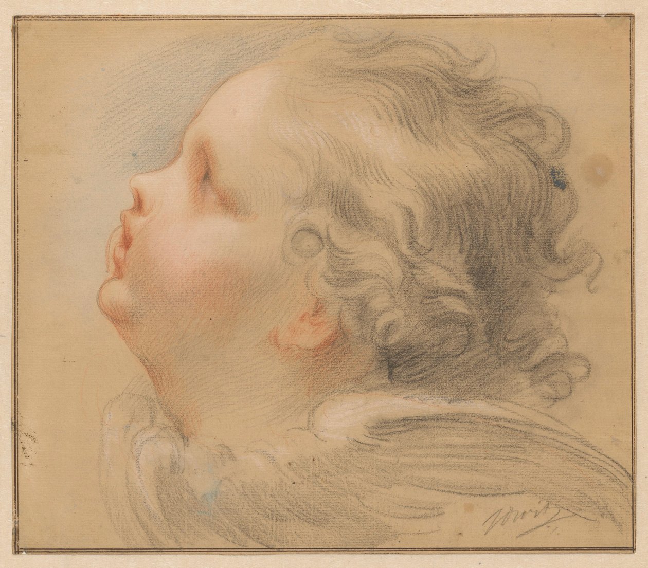 Testa di un cherubino, verso sinistra da Jacob de Wit