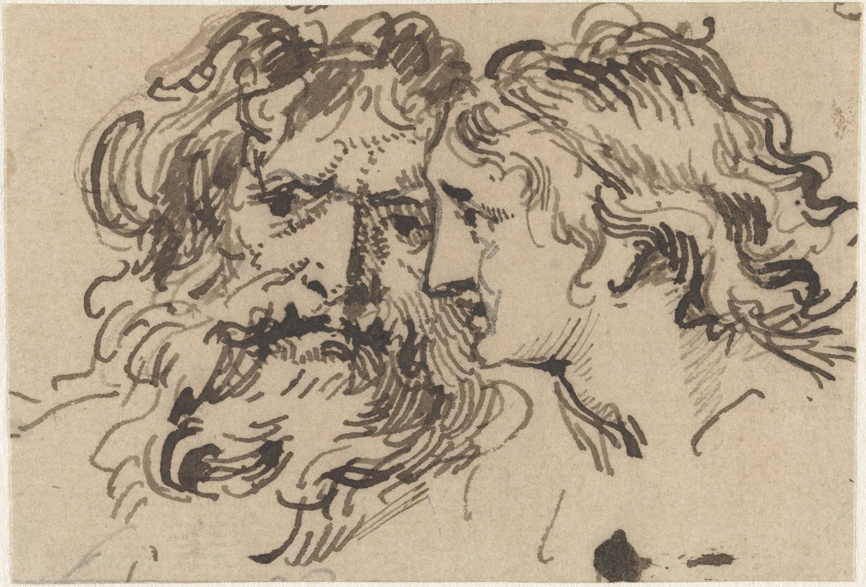Testa di un vecchio e di una giovane donna da Jacob de Wit