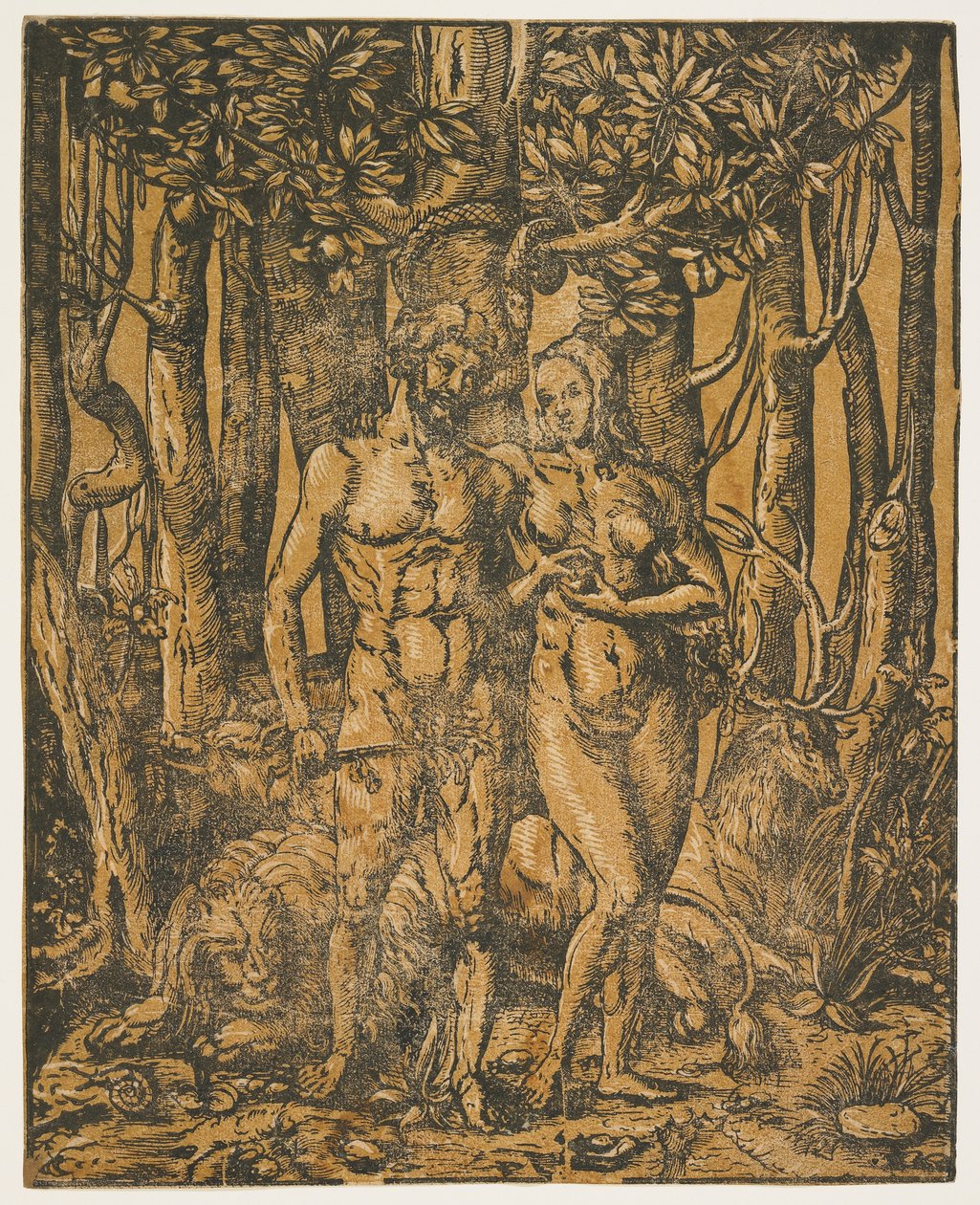 Adamo ed Eva da Jacob the Elder attr. to Lucius