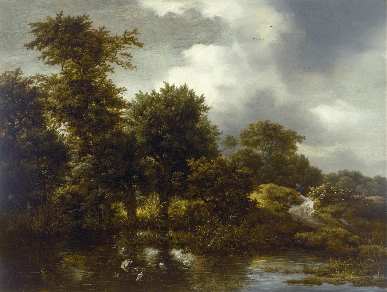 Paesaggio boscoso con uno stagno da Jacob van Ruisdael
