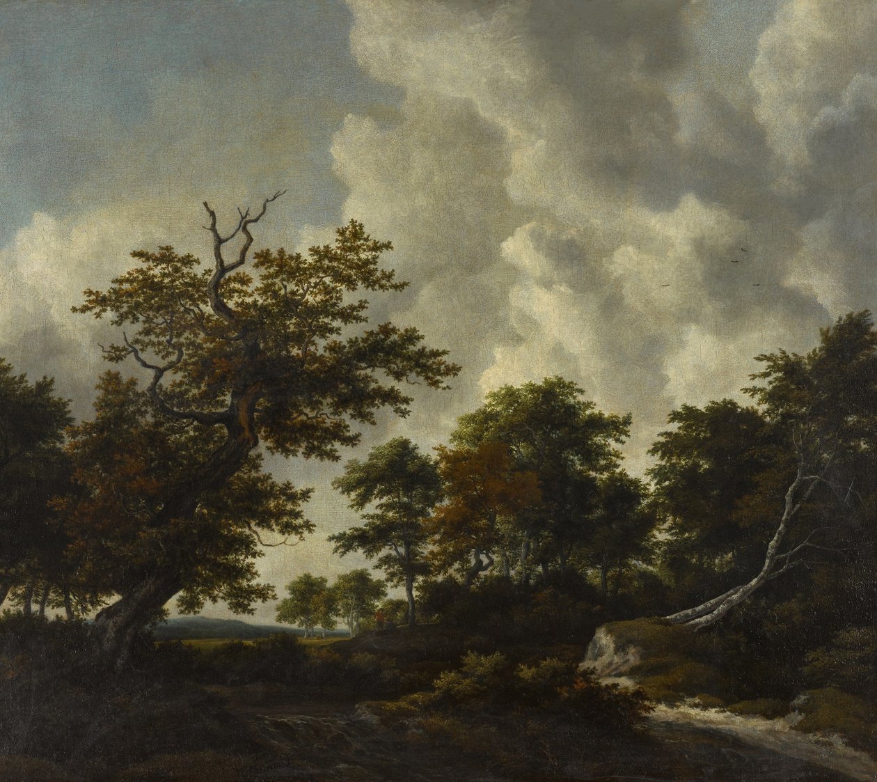 Paesaggio boschereccio con una grande quercia e due faggi caduti vicino a una cascata da Jacob van Ruisdael
