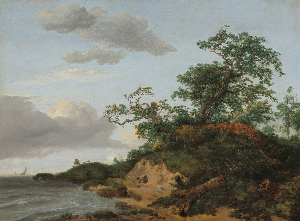 Dune vicino al mare, 1648 da Jacob van Ruisdael