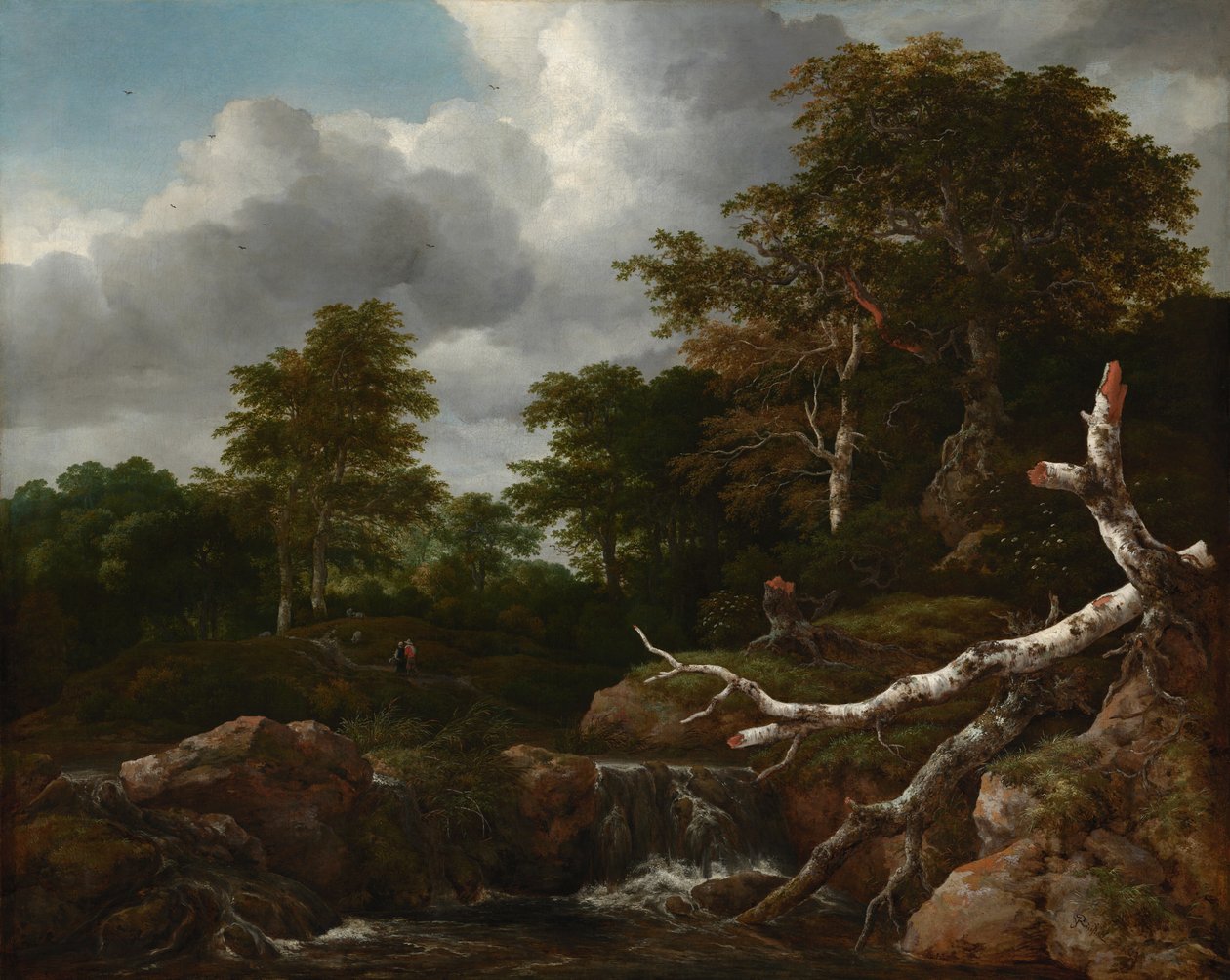 Scena nella foresta da Jacob van Ruisdael