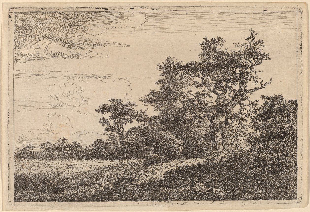 Campo di Grano al Limite di un Bosco da Jacob van Ruisdael