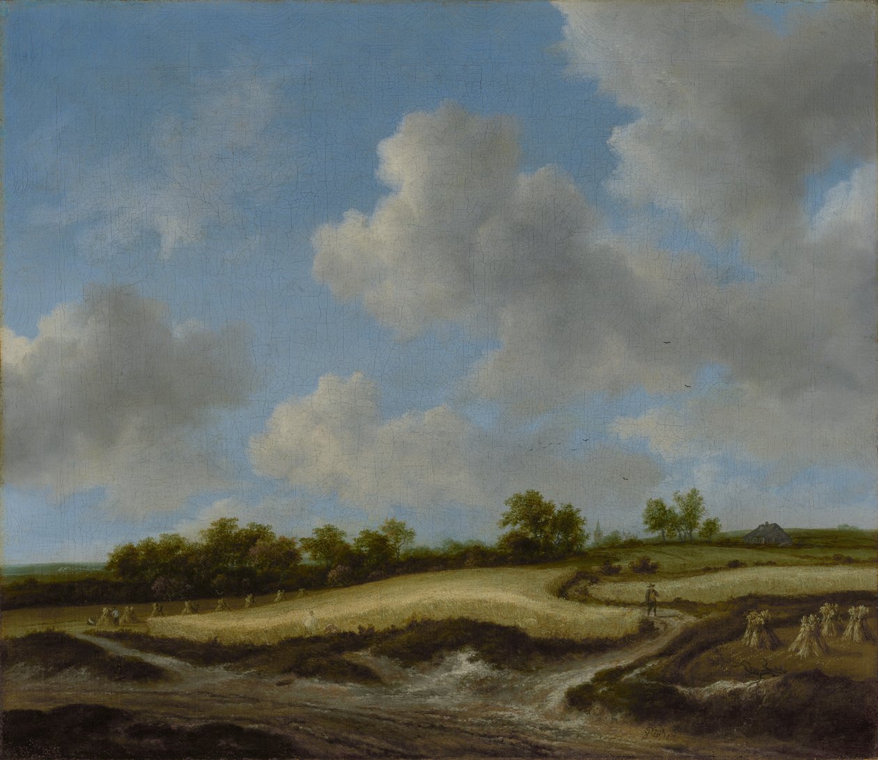 Paesaggio con un campo di grano da Jacob van Ruisdael
